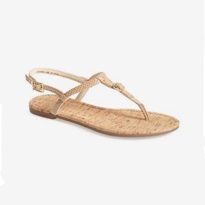 Cole Haan Tan Snakeskin Buckle Thong Sandal